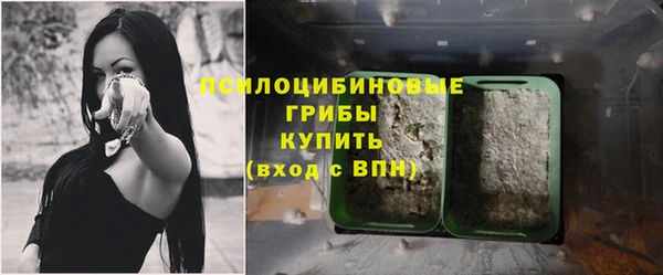 мет Белокуриха