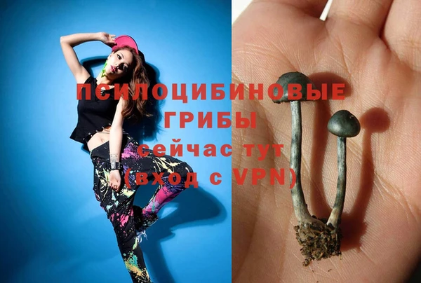 прущая мука Беломорск